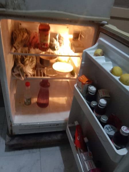 medium fridge 2
