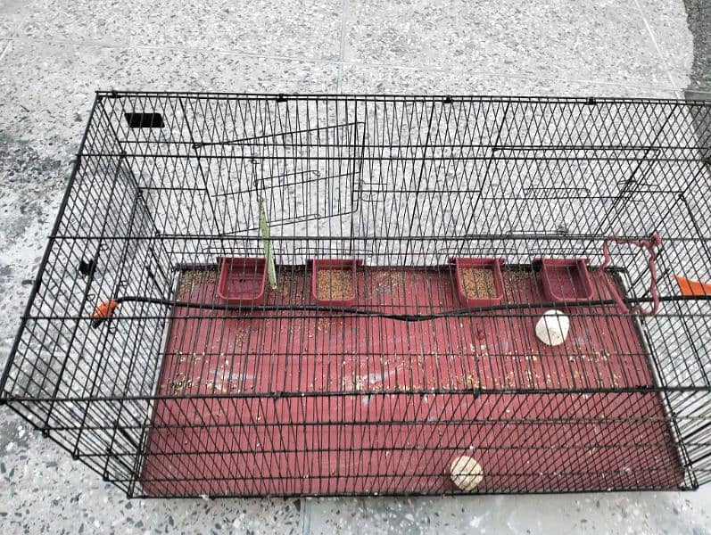 good condition cage 1