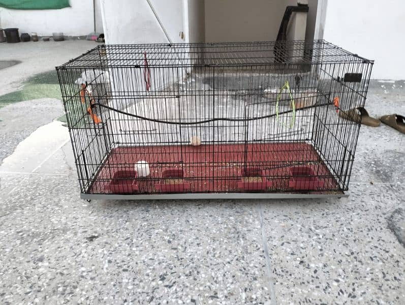 good condition cage 2