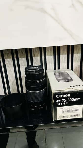 Canon EOS 750D | DSLR | with 75-300mm and 18-55mm IS Lens 2