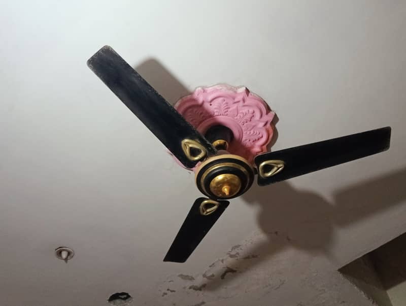 Royal Ceiling Fan 0