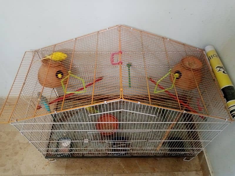 Australian parrots for sale with cage!! 1