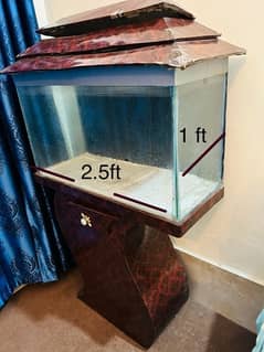 2.5 feet fish aquarium