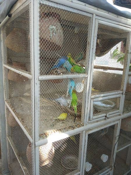 wooden cage with birds 12