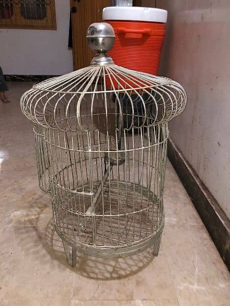 pahari parrot cage 1