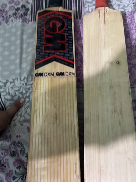 used hard ball Kashmir willow bat 2