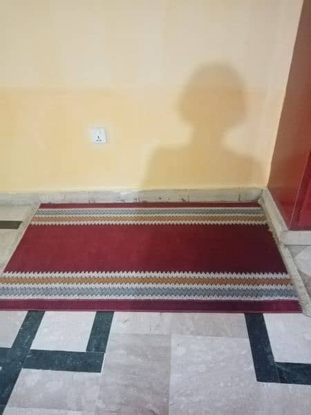 New carpet for sale 0