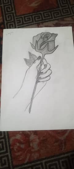 hand hold flower 0