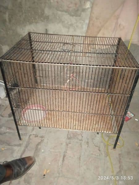 Cage For Sale 9/10 1