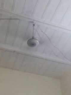 ceiling Fan  used hai exchange possible A. C. Dc fan sy