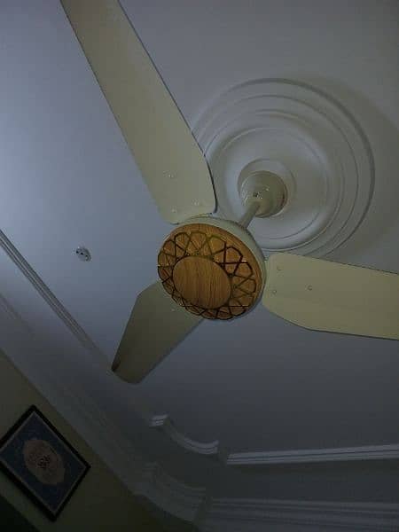 ceilings fans 0