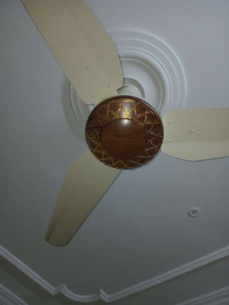 ceilings fans 1