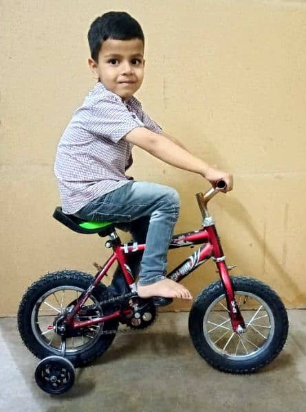 12 inch Kids Bicycle 0