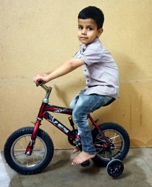 12 inch Kids Bicycle 7
