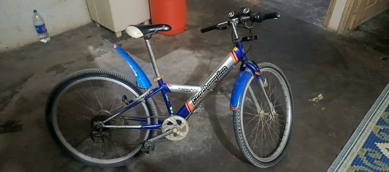 eco champion bicycle 3