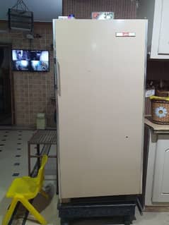 vintage fridge 0