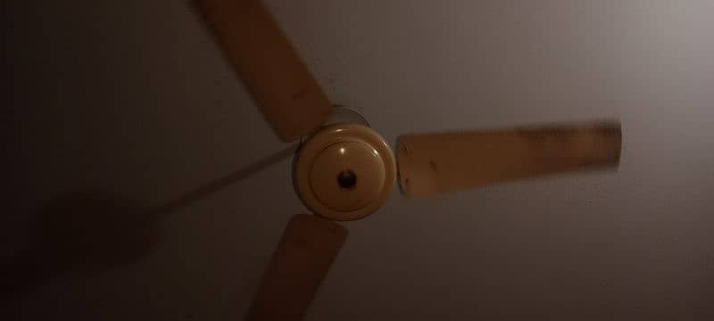 This is very clean fan 0