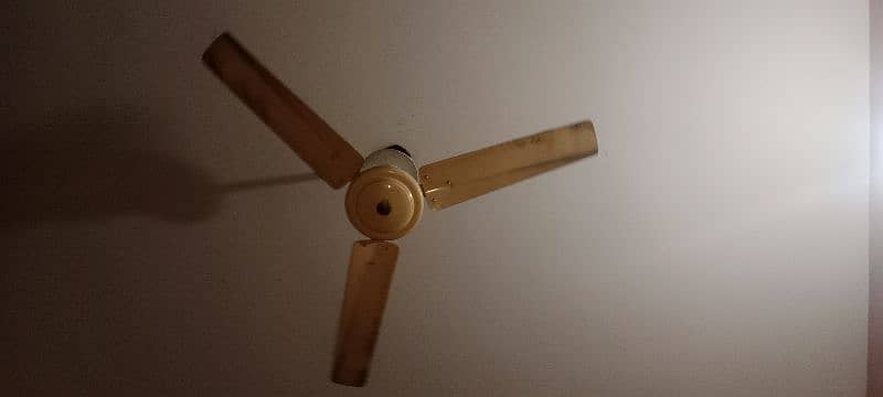 This is very clean fan 1