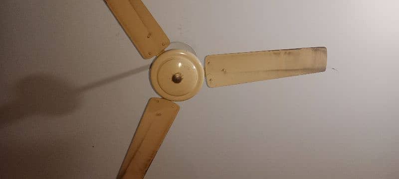 This is very clean fan 2