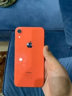 IPhone XR pta approved