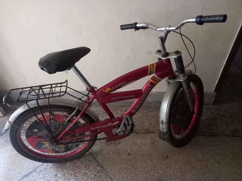 Cycle For Kids Size 20 1 month used only 0