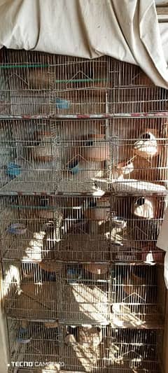Cage For Sale
