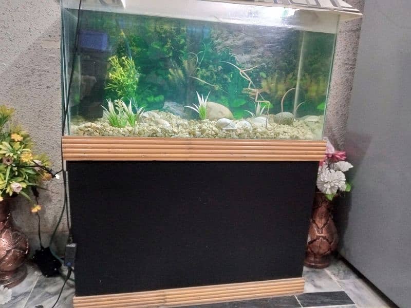 aquarium 4
