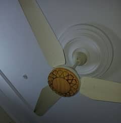 Orient ceiling fans