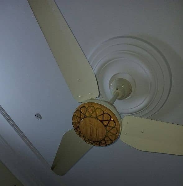 Orient ceiling fans 0