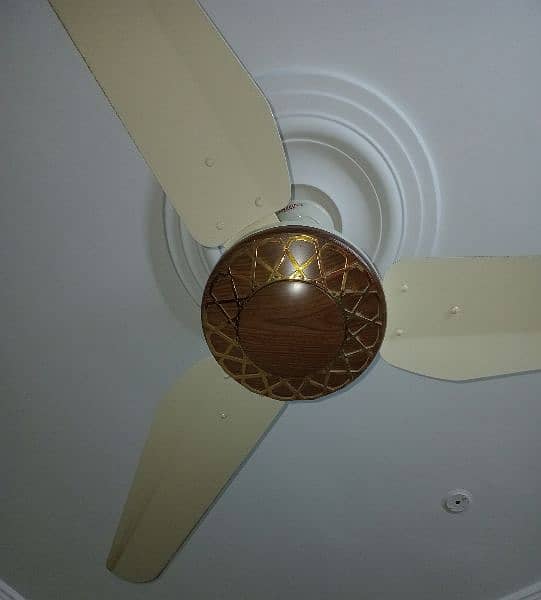 Orient ceiling fans 1