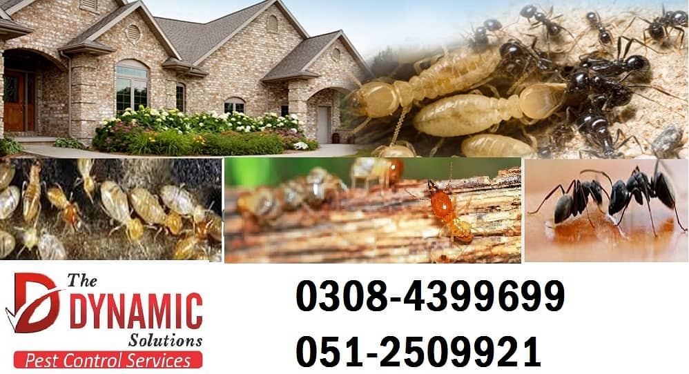 All type of Pest & Termite control best company 2