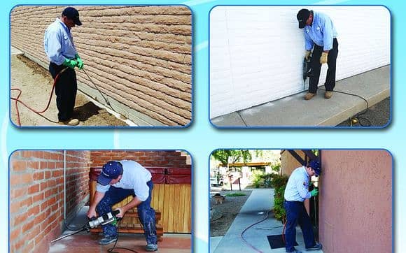 All type of Pest & Termite control best company 3