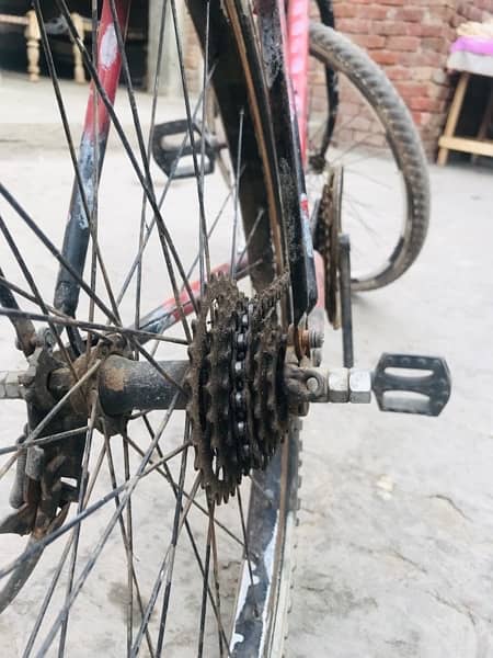 wheeler cycle phenix 1