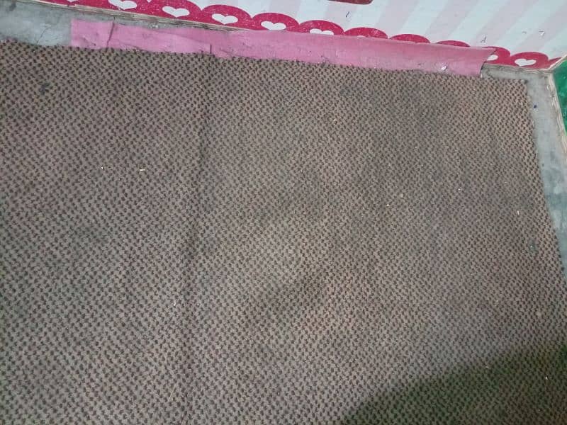 Carpet with Foam 0