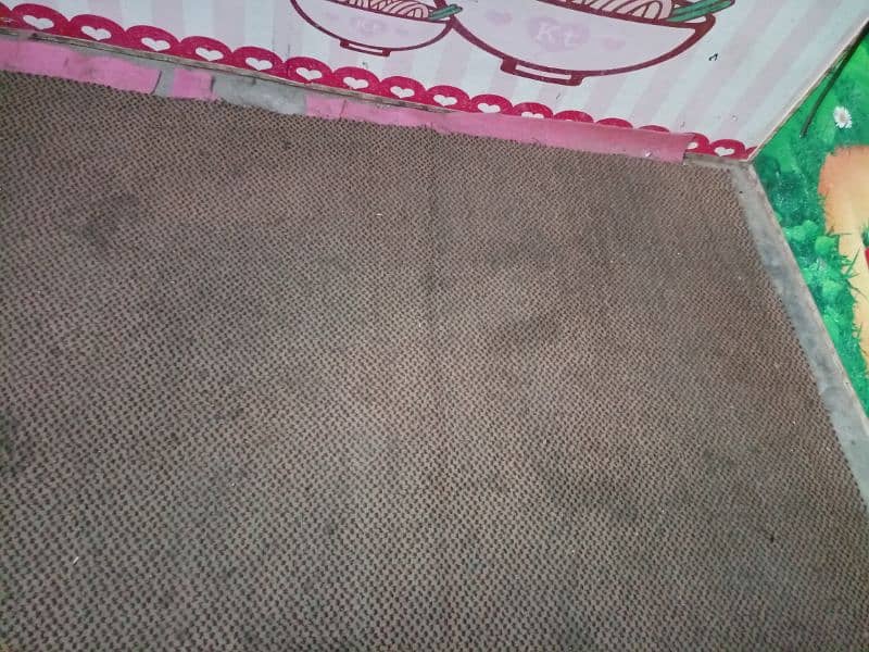 Carpet with Foam 1