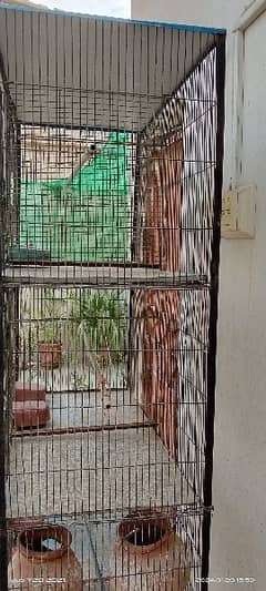 Cage for Sale (8 portion)