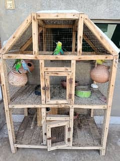 Wood Cage with 4 pairs Australian parrots