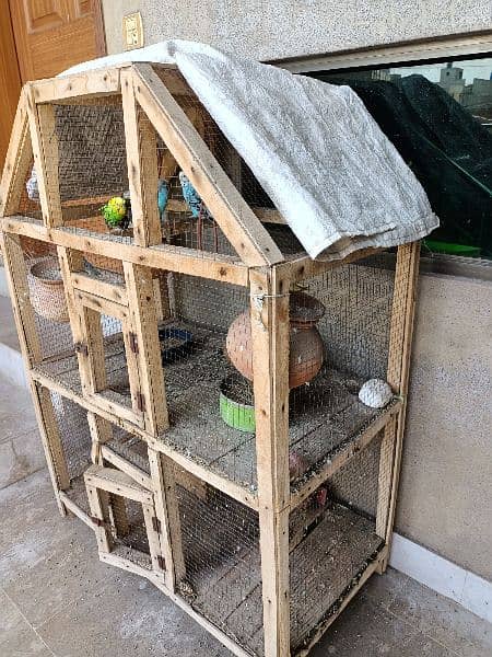 Wood Cage with 4 pairs Australian parrots 5