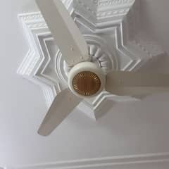 ceiling fans for urgent sale