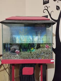 2*1.5*2 (L*W*H) ft aquarium with fishes+ all