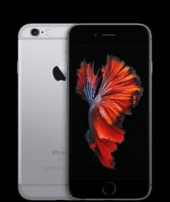 iPhone 6S [64Gb] [PTA Approved]