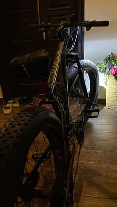 BIG tyre / fat tyre Bicycle (VIPER)