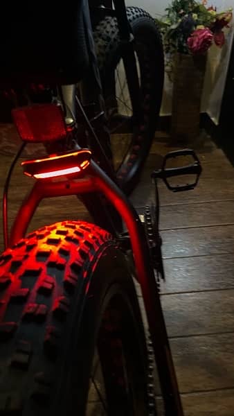 BIG tyre / fat tyre Bicycle (VIPER) 2