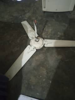 Ceiling Fan for sale at Discounted Price