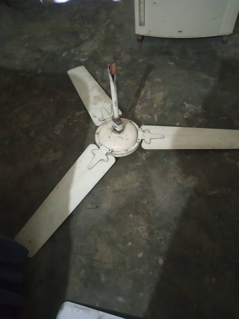 Ceiling Fan for sale at Discounted Price 0