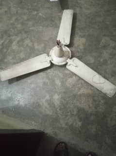 Ceiling Fan at Discounted Price