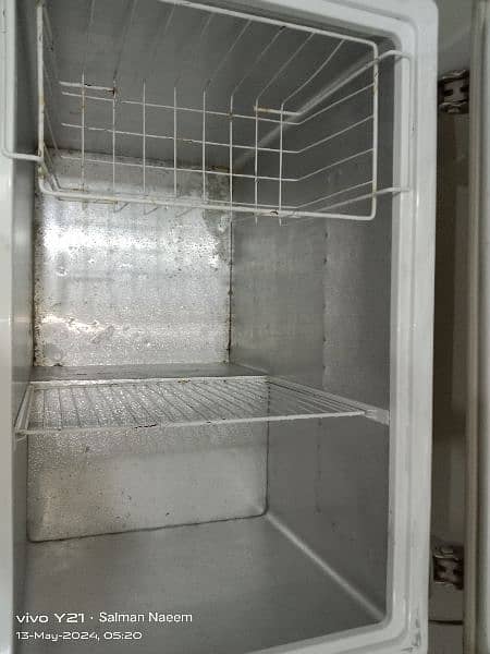 PEL Freezer Urgent needs to be sold 2