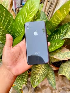 iPhone XR 64Gb Non Pta Face Id Fail Only