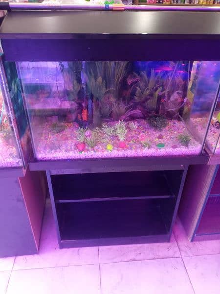 Aquarium fisH 4