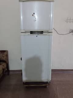 waves company Fridge running condition king size